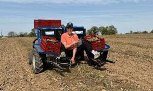 Une femme assise sur une machine en train de récolter des asperges vertes dans un champ