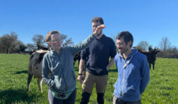 Une femme et deux hommes dans un champ avec des vaches. La femme est en train de parler en faisant des gestes