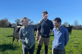 Une femme et deux hommes dans un champ avec des vaches. La femme est en train de parler en faisant des gestes