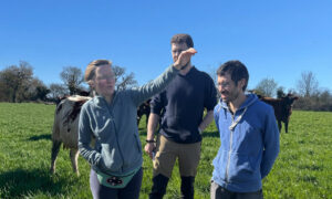 Une femme et deux hommes dans un champ avec des vaches. La femme est en train de parler en faisant des gestes