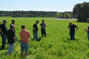 groupe de personnes dans un champ