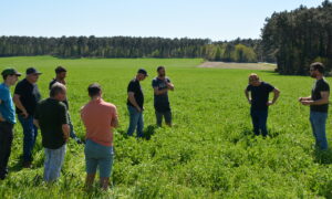 groupe de personnes dans un champ