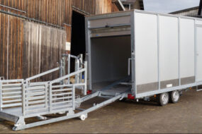 Une remorque de bétail