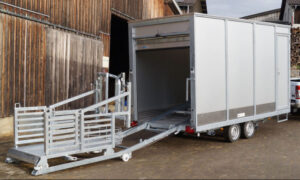 Une remorque de bétail