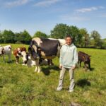 Une femme dans un champ avec des vaches