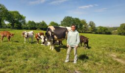 Une femme dans un champ avec des vaches