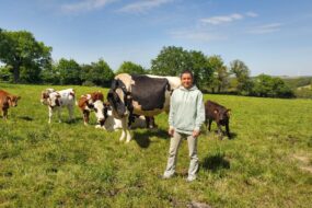 Une femme dans un champ avec des vaches