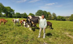 Une femme dans un champ avec des vaches