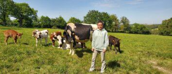 Une femme dans un champ avec des vaches