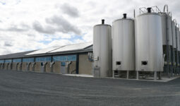 panneaux solaires sur un bâtiment d'élevage et cuves à côté