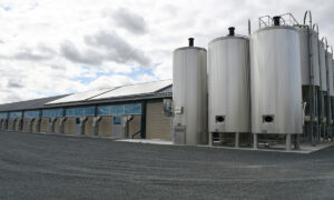 panneaux solaires sur un bâtiment d'élevage et cuves à côté