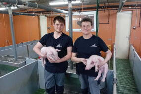 Deux éleveurs avec des porcelets dans les bras dans une salle post sevrage d'une porcherie
