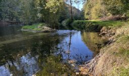 Une rivière paisible dans un paysage de bocage