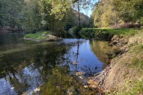 Une rivière paisible dans un paysage de bocage