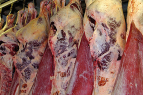 des carcasses de viandes bovines pendues dans un abattoir