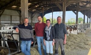 Trois hommes et une femme posenty devant la table d'alimentation d'un bâtiment d'élevage abritant des génisses de race Montbéliarde