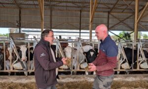 Deux hommes discutent dans un bâtiment agricole avec en arrière plan des vaches au cornadis