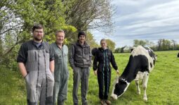 Des agriculteurs avec une vache