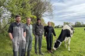 Des agriculteurs avec une vache