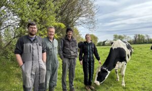 Des agriculteurs avec une vache