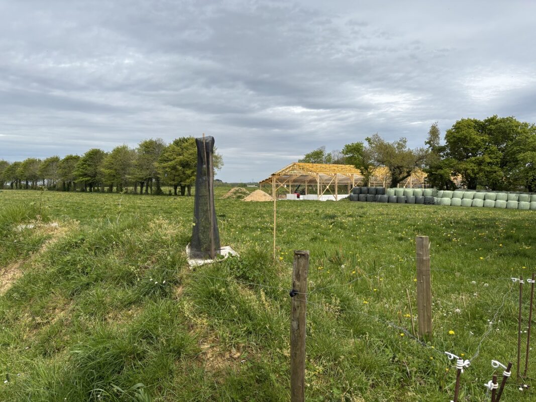 Les plantations continuent sur la ferme.