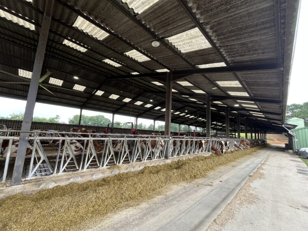 Le bâtiment du Gaec est grand ouvert à l'est, côté table d'alimentation