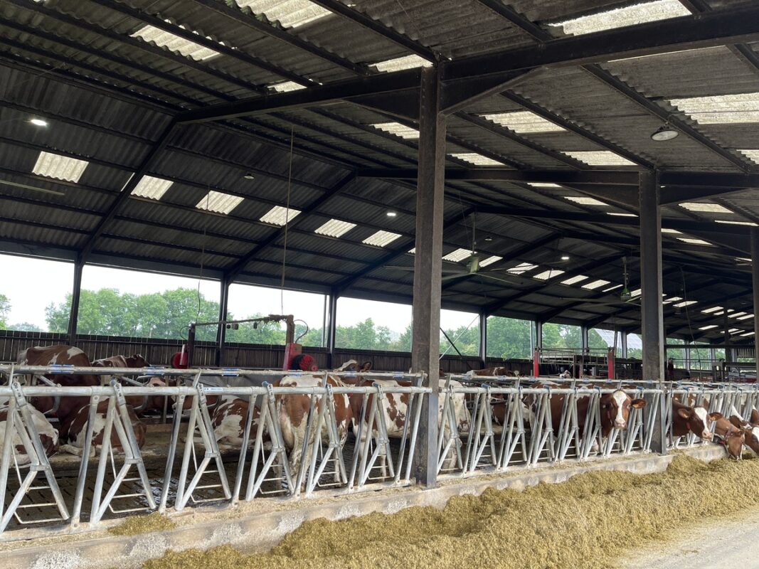 Aperçu des brasseurs à cinq pales au plafond et des capteurs Neo placés entre les deux brosses à vache