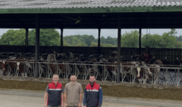 Trois hommes devant la table d'alimentation d'un bâtiment pour vaches slaitières