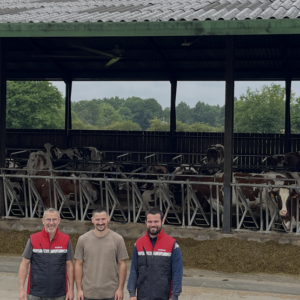 Trois hommes devant la table d'alimentation d'un bâtiment pour vaches slaitières