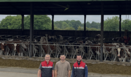 Trois hommes devant la table d'alimentation d'un bâtiment pour vaches slaitières