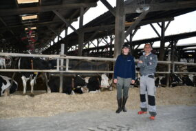 Une femme et un homme dans un bâtiment avec des vaches Holstein