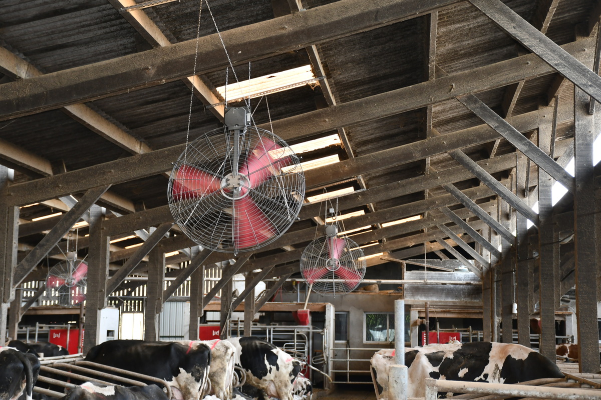Les ventilateurs soufflent l’air vers les robots.
