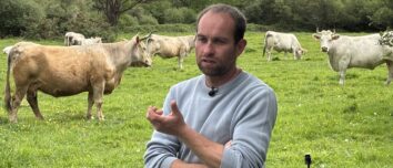 Un agriculteur au milieu de ses vaches dans un champ