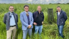 Un groupe de personne dans les herbes hautes devant un arbre tout juste plantée