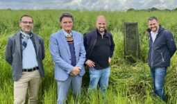 Un groupe de personne dans les herbes hautes devant un arbre tout juste plantée
