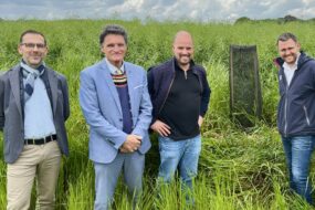 Un groupe de personne dans les herbes hautes devant un arbre tout juste plantée