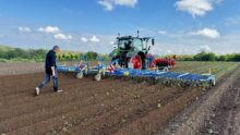 herse étrille dans un champ de pommes de terre