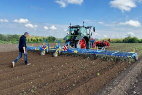 herse étrille dans un champ de pommes de terre