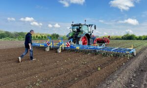 herse étrille dans un champ de pommes de terre