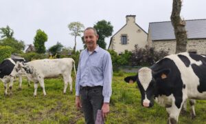 Un homme souriant au milieu des vaches dans un champ attenant à une maison