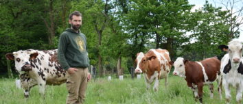 Un homme aux côtés de ses vaches laitières dans un champ