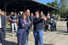 Un groupe de personnes en visite dans une exploitation agricole
