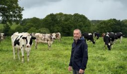 Un éleveur souriant au milieu d'un troupeau de vaches laitières au pâturage