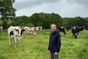 Un éleveur souriant au milieu d'un troupeau de vaches laitières au pâturage