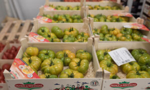 Des caisses de tomates vertes