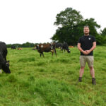 un éleveur dans un pâturage avec ses vaches
