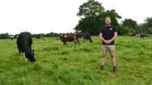 un éleveur dans un pâturage avec ses vaches