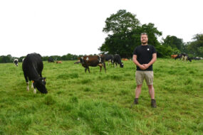 un éleveur dans un pâturage avec ses vaches