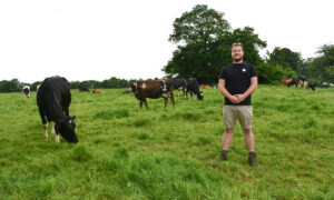 un éleveur dans un pâturage avec ses vaches