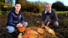 Deux hommes accroupis devant des troncs d'arbres coupés